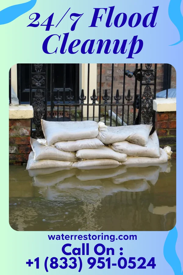 24/7 Flood Cleanup in Adams, IL