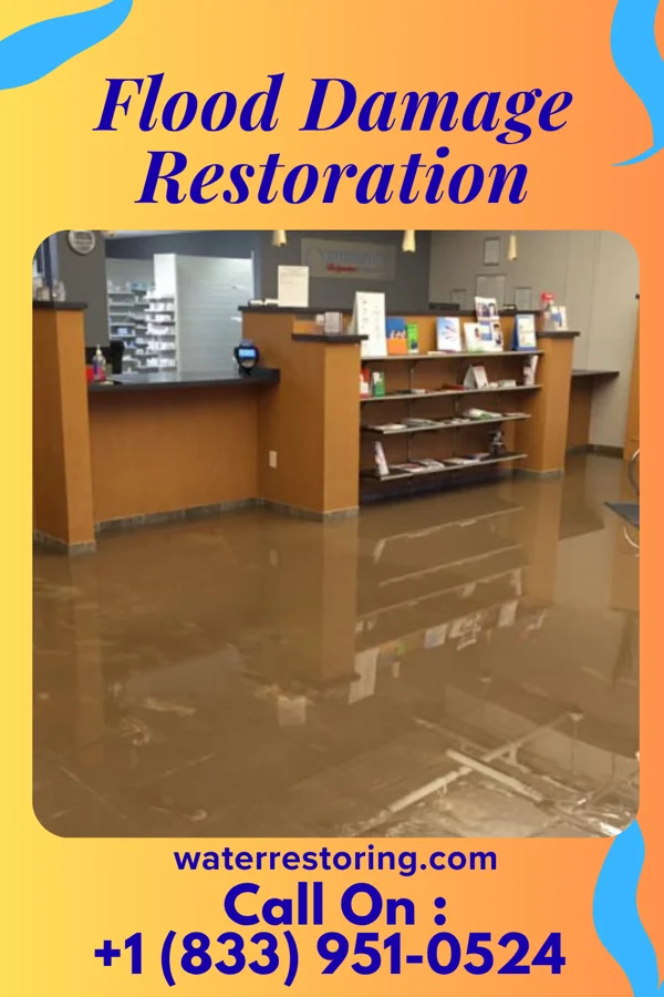 Flood Damage Restoration in Adams, IL
