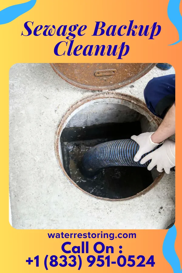 Sewage Backup Cleanup in Adams, IL